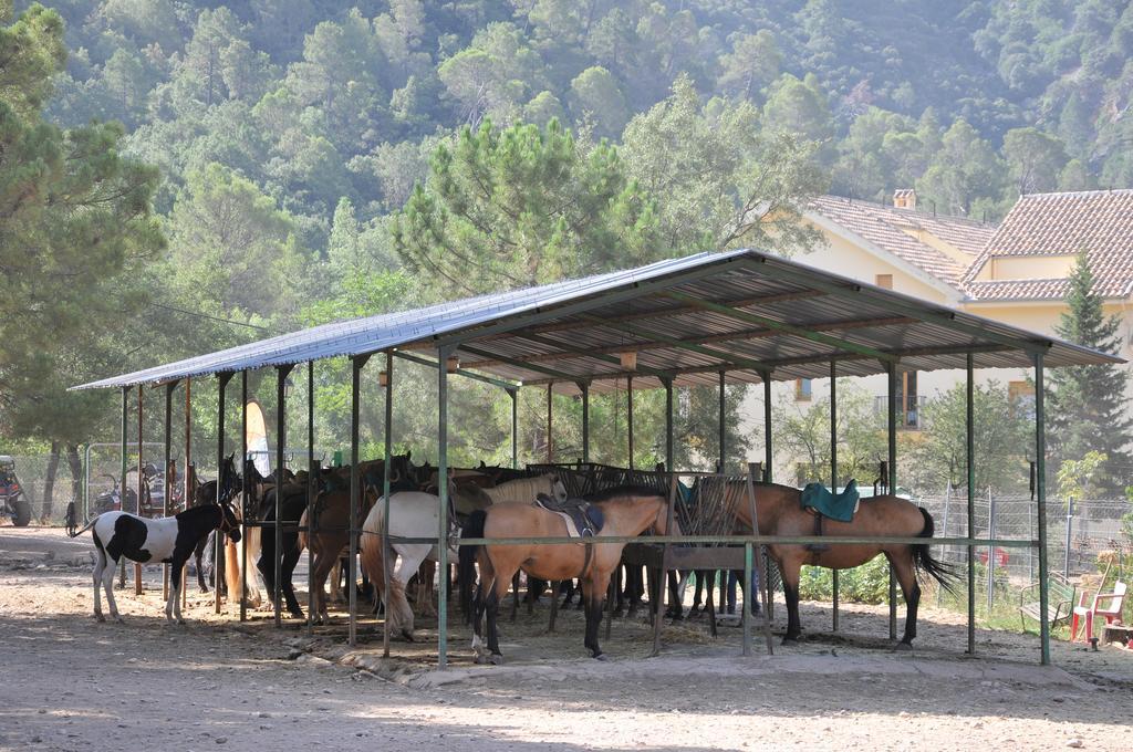 Alojamientos Rural Tejerina Arroyo Frio Exterior photo